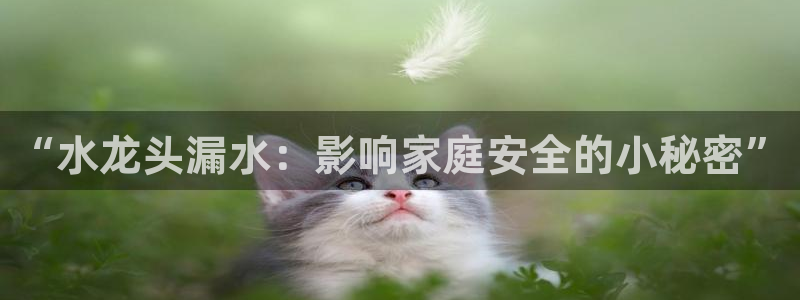 天辰娱乐会所