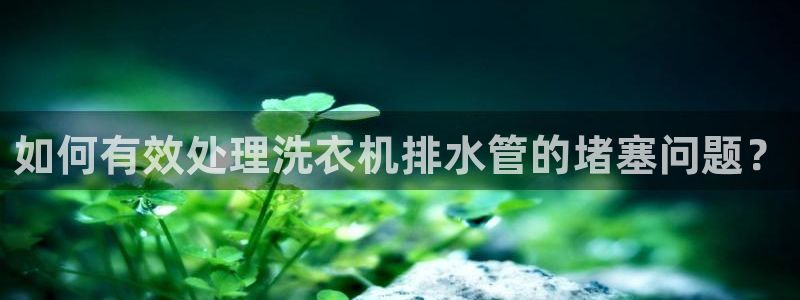 天辰娱乐分红