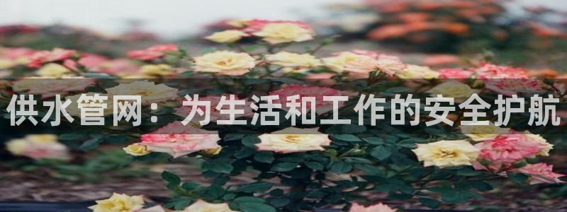 天辰娱乐1966