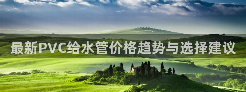 天辰娱乐股东