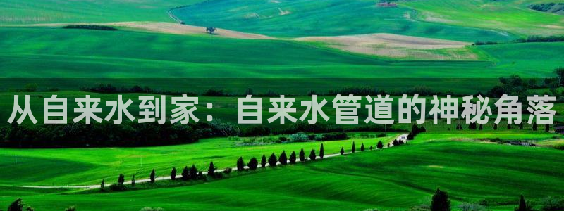 天辰娱乐平台登录账号