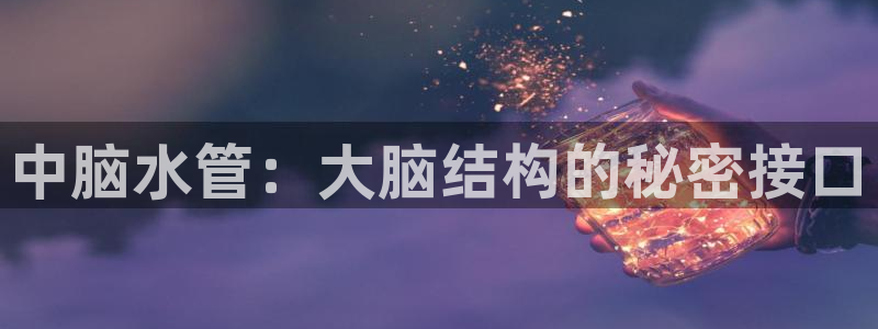 天辰娱乐注册登录