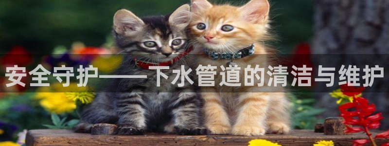 天辰娱乐官方登录下载