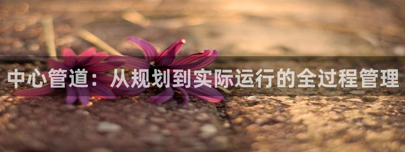 天辰娱乐跑的快