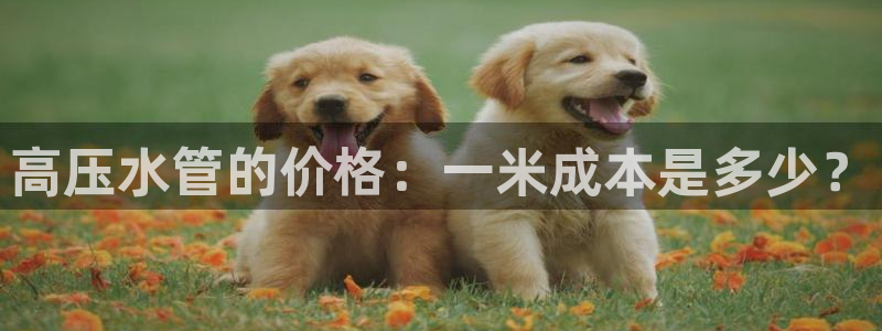 天辰娱乐娱乐注册