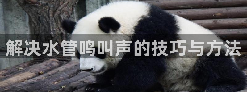 天辰娱乐APP下载