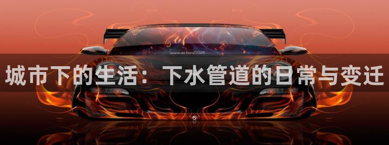 天辰娱乐天辰宝