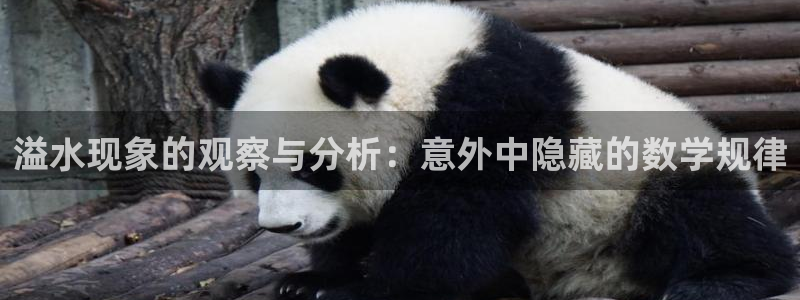 天辰娱乐怎么样