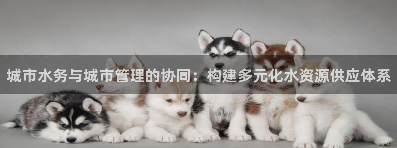 天辰娱乐官网平台入口