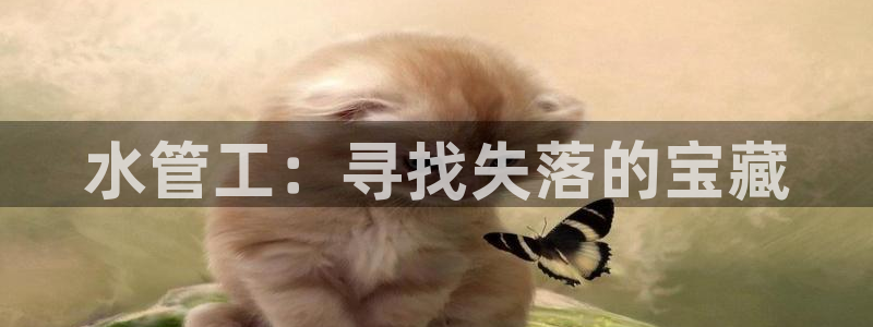 天辰娱乐路线